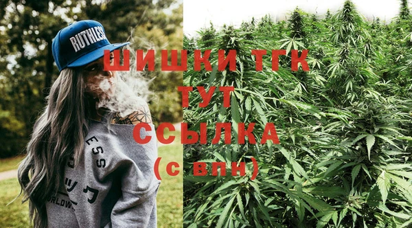 твердый Белокуриха