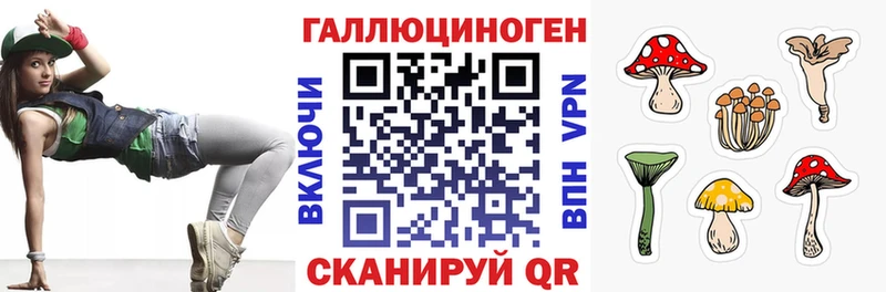 Псилоцибиновые грибы Psilocybe  Игра 